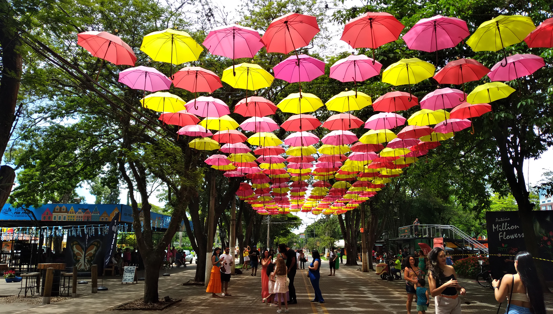 Natal de Holambra - by Expoflora